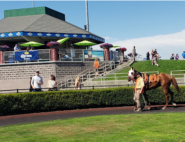 Bash Emerald Downs.png