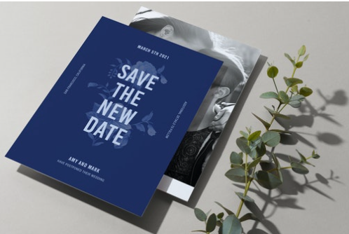 bash paper culture.png